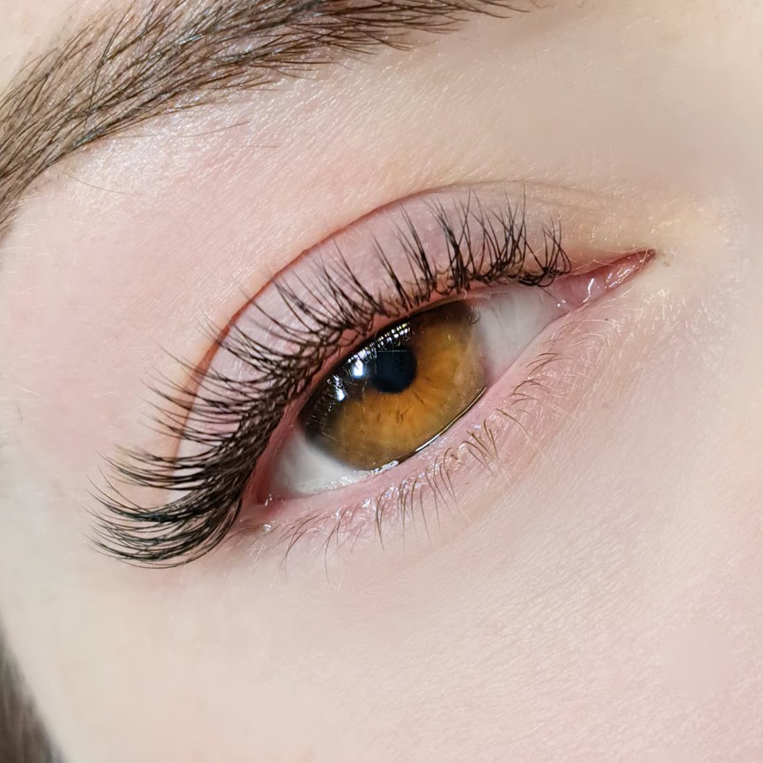 Extension de cils effet naturel réalisée par L'Éclat de Cassandre
